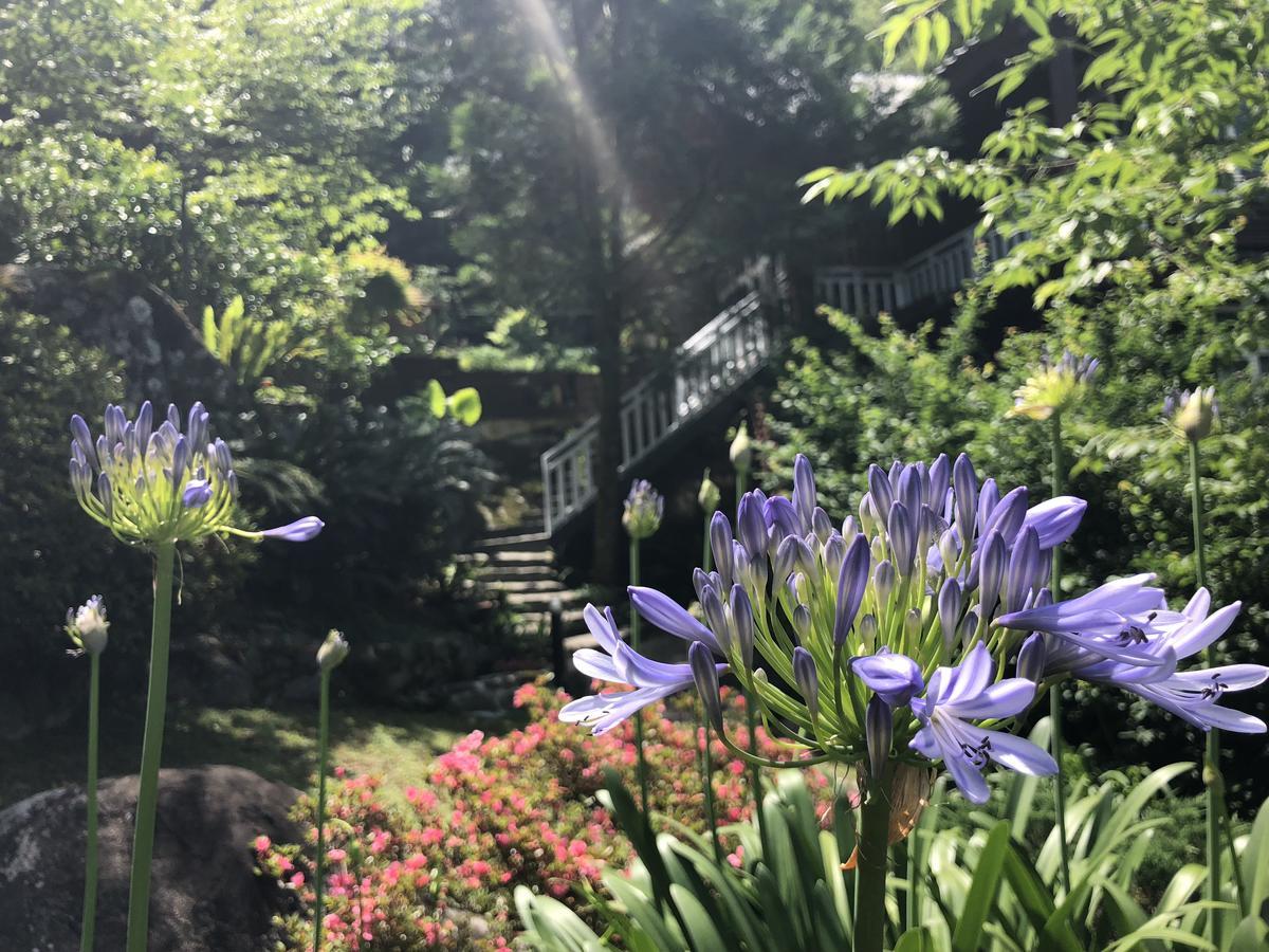 Hualing 福緣山莊 桃園市民宿004號 מראה חיצוני תמונה